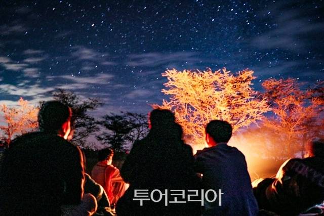 ▲ 자이살메르 사파리 투어의 밤. 별이 쏟아질 듯하다.