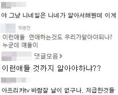 포털사이트 네이버, 다음