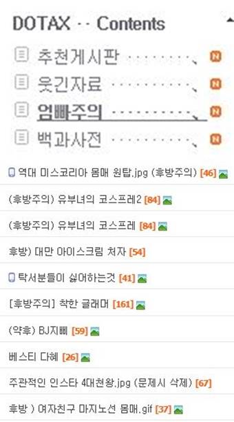 /사진=포털사이트 다음 카페 '도탁스'