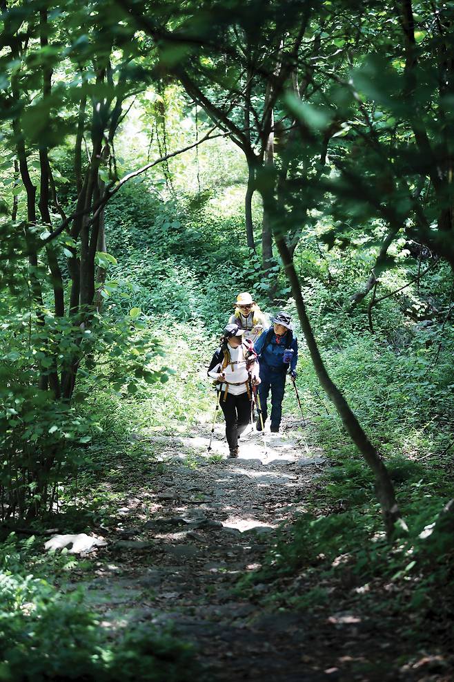마구령에서 갈곶산으로 이어진 완만한 대간길을 걷는 셰르파들.