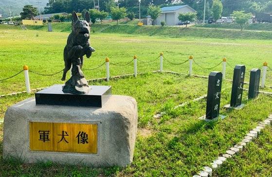 육군 군견훈련소 정문을 들어서면 군견상과 충견비가 설치돼 군견의 희생을 추념한다. [사진 박용한]