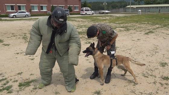 기자에게 달려든 군견은 쉽게 놓아주지 않았다. 군견병이 허락을 하자 풀어줬다. [영상캡처=강대석 기자]