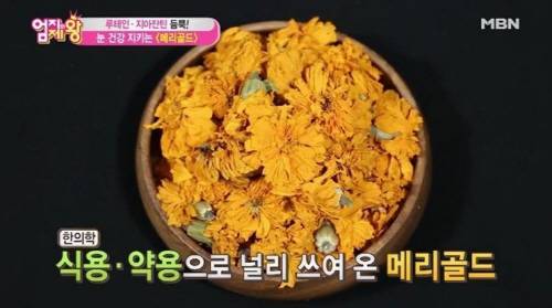 [사진 출처 = MBN `엄지의 제왕` 캡처]