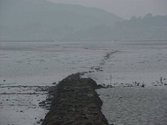 썰물 때 갯벌 위에 두 마을을 연결해 주는 2.5km에 이르는 노두 (사진제공=신안군)