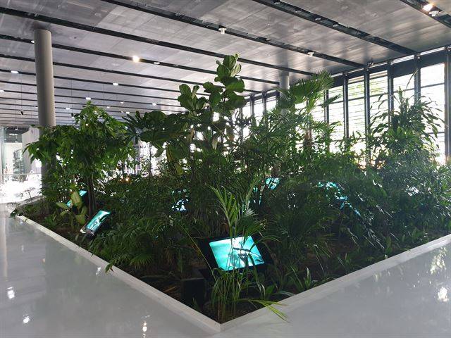 백남준의 ‘TV정원’. 이소요 작가의 ‘TV정원: 주석’의 모티브가 된 작품이다. 신지후 기자