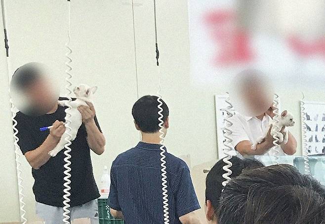 경매 전 강아지들의 배에는 농장번호와 개체번호가 적히고, 이후 경매사에게 넘겨진다.