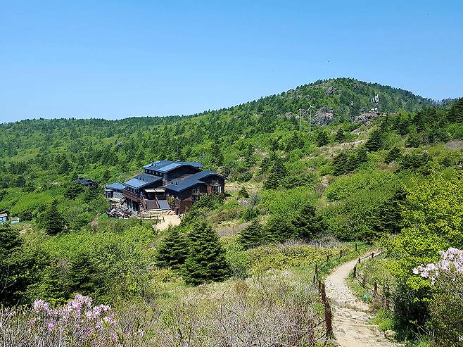 세석-촛대봉 등산로의 현재모습.