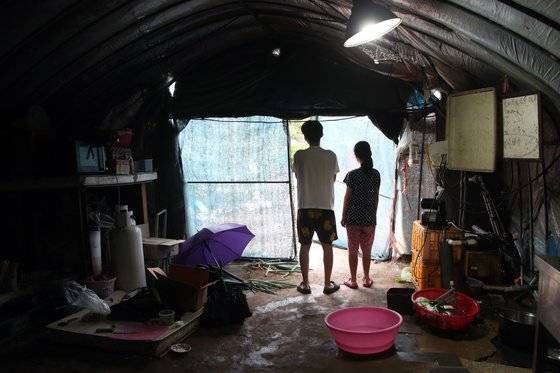 경기도 북부 한 농촌에서 사는 A씨는 비닐하우스 1개를 집으로 만들어 살고 있다. 고2 아들과 중3 딸은 2012년부터 3년 간 빌라에 산 것을 빼곤 평생 비닐하우스에서 살았다. 최정동 기자