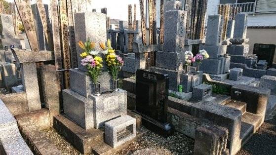 비석을 깨끗이 씻고 꽃다발을 꽃은 모습이다. [사진 양은심]