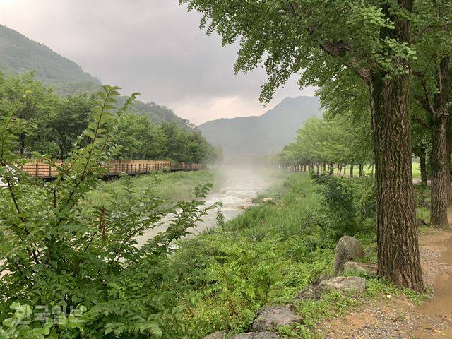 비온 뒤 경북 문경새재를 흐르는 하천에 물안개가 살포시 내려 앉아 있다. 김재현기자 k-jeahyun@hankookilbo.com