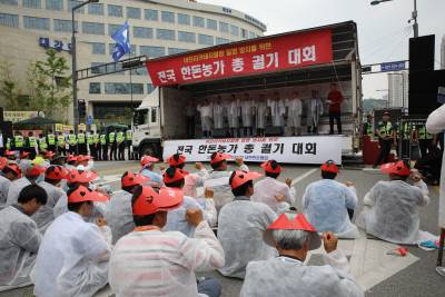 잔반 자가급여를 금지하는 폐기물관리법 시행규칙 개정안 시행을 앞두고 반대하는 자가급여 농가들(위)과 개정안만으로는 부족하다는 양돈협회 측(아래)의 상반된 맞불 집회가 각각 지난 6월 10일과 20일 세종시 환경부 앞에서 열렸다. / 음식물축산사료연합회, 한돈협회 제공