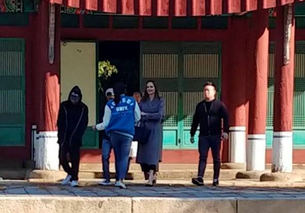 안젤리나 졸리, 매덕스/사진=연세대 학생 커뮤니티