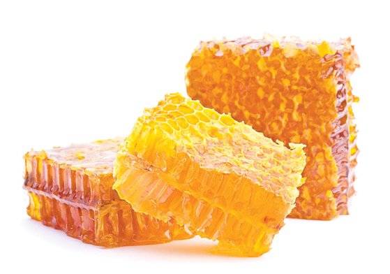 꿀이라면 보통 벌꿀을 가장 먼저 떠올린다. [중앙포토]