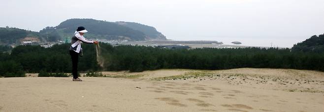 지난 21일 대청도 옥죽동 모래사막. 김선식 기자