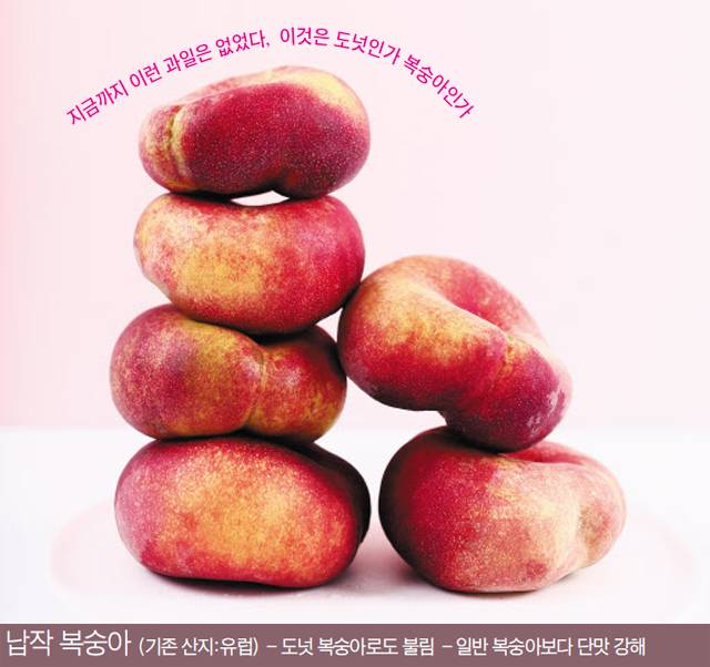 /상하농원