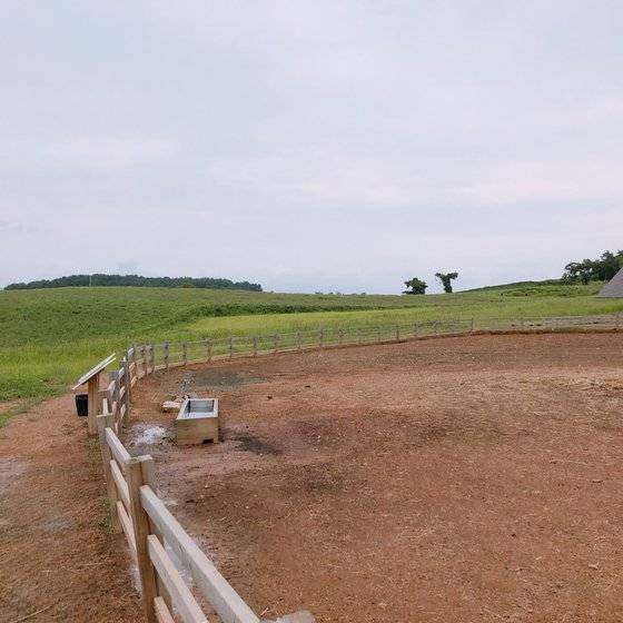 전북 고창 '상하농원'. 초록색 가득한 목장 산책길 풍경만으로 도시를 떠난 보람을 느낄 수 있다.