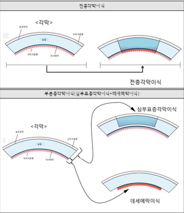 여의도성모병원 제공