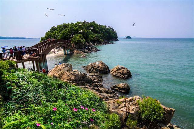 대부도 해솔길 섬과 낙조전망대가 있는 섬을 이어주는 개미허리 다리. 안산시 제공