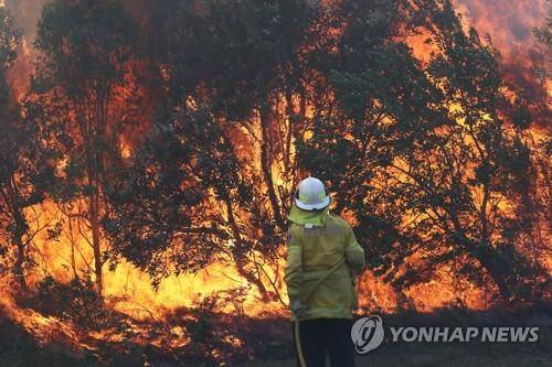 호주 뉴사우스웨일스주에서 발행한 대형 산불 현장. [EPA=연합뉴스]