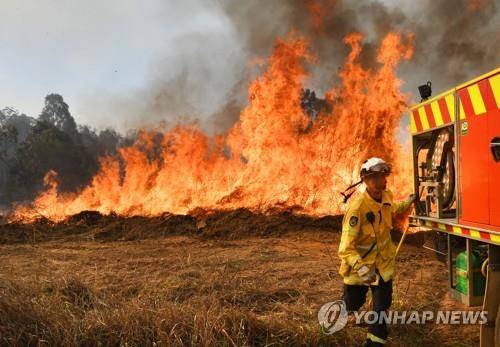 호주 뉴사우스웨일스주에서 발생한 대형 산불 현장. [EPA=연합뉴스]
