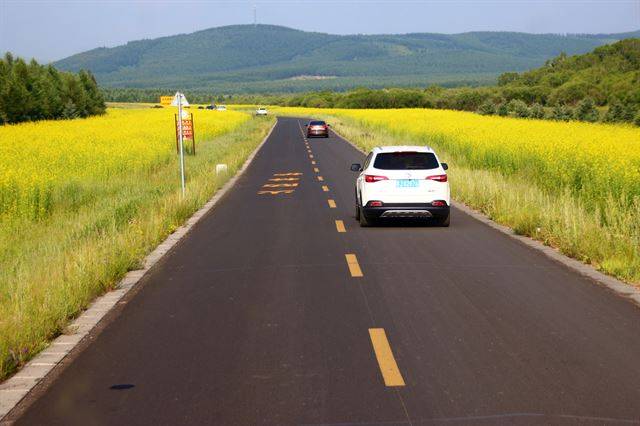 허베이를 지나 네이멍구로 가는 국도변에 유채가 노랗게 피어 있다.