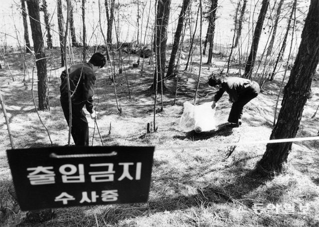 열 번째 ‘화성 연쇄살인 사건’이 발생한 1991년 4월 경기 화성군(현 화성시) 동탄면 반송리의 야산에서 경찰 수사관들이
 범행 흔적을 찾고 있다. 당시 피해자 권모 씨(69)는 수원의 딸 집에 갔다가 귀가하던 중 피살됐다. 동아일보DB