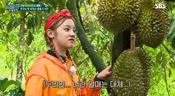 SBS ‘정글의 법칙’ 출연진이 두리안의 냄새를 맡았다. 방송 캡처