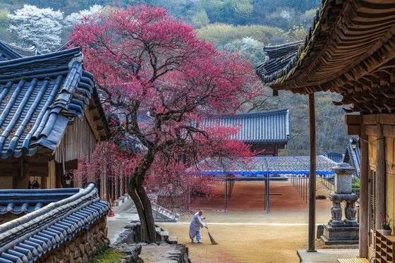 금상을 받은 '산사의 아침'(신윤철). 전남 구례 화엄사에서 촬영한 작품이다. [사진 한국관광공사]