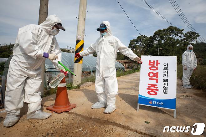 25일 아프리카돼지열병(ASF) 확진 판정을 받은 인천 강화군 송해면 돼지농가 입구에서 방역 관계자들이 현장을 통제하고 방역작업을 하고 있다. 이 농가는 경기 파주(2곳), 연천, 김포에 이어 5번째 ASF 확진 판정을 받고 이날 새벽 농가 돼지 400여두를 모두 살처분했다. 2019.9.25/뉴스1 © News1 유승관 기자