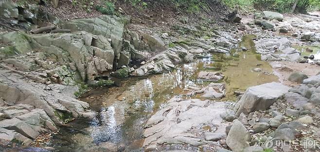 맑은 물이 흐르는 진관사 계곡. / 사진 = 오진영 기자