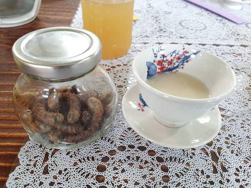 쌍별귀뚜라미를 담가 만든 술 ‘쌀별이’.