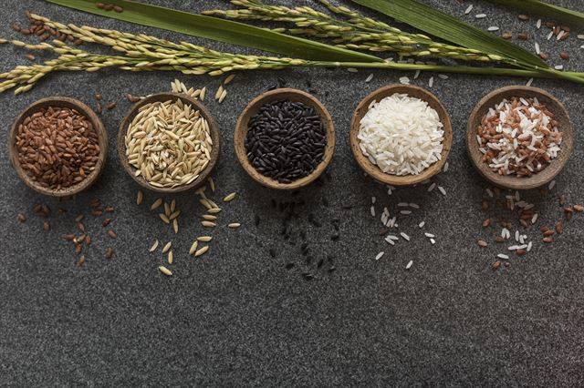 탄수화물을 안 먹을 순 없다. 양을 줄이는 대신 조리법을 달리해보자. 게티이미지뱅크