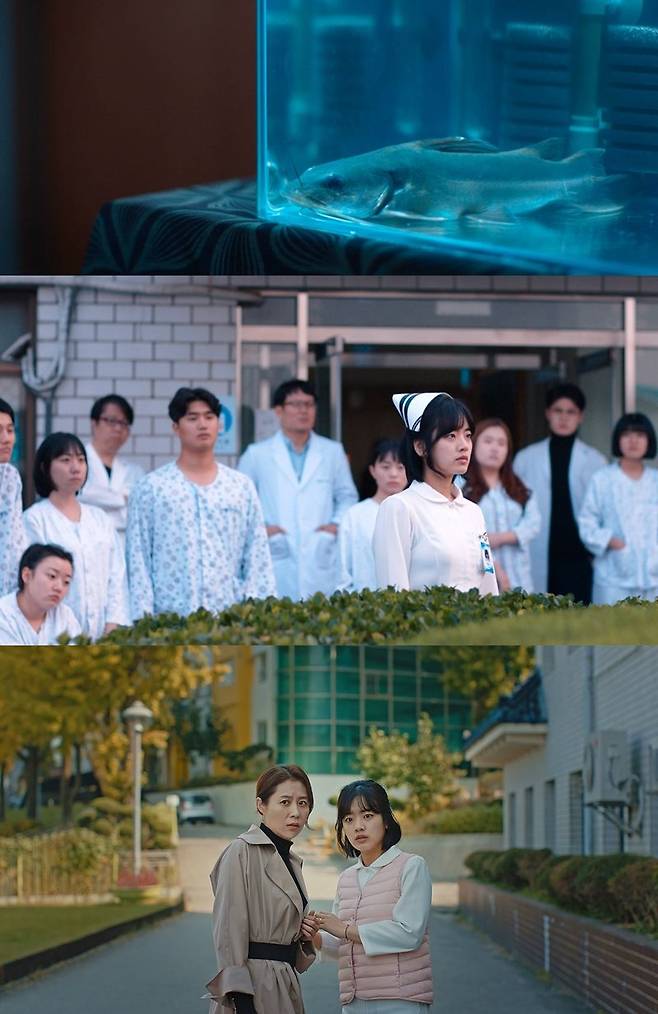 '메기'는 마리아 사랑병원에서 발견된 한 장의 엑스레이 사진을 시작으로 믿음에 관해 이야기하는 영화다. (사진=국가인권위원회, 2X9HD 제공)