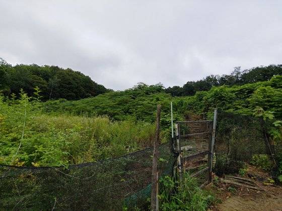 점유취득시효가 적용되려면 부동산을 20년간 소유의 의사로 점유하여야 한다. [중앙포토]