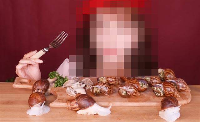 살아있는 달팽이 4마리를 앞에 두고 식용 달팽이 먹방을 한 유튜버에게 시청자들이 이달 초 댓글을 통해 "생명 경시"라고 비판했다. 유튜브 캡처