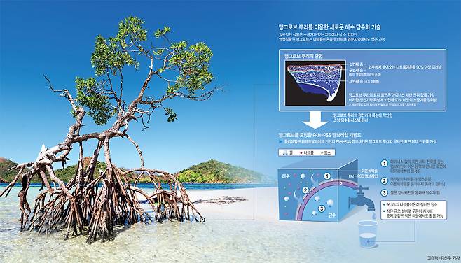 그래픽=김선우 기자