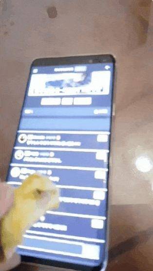 고구마로 지문인식이 되는 갤럭시노트10. /트위터 캡쳐