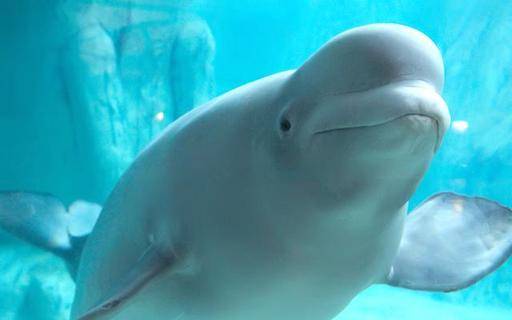 사진=롯데월드 제공