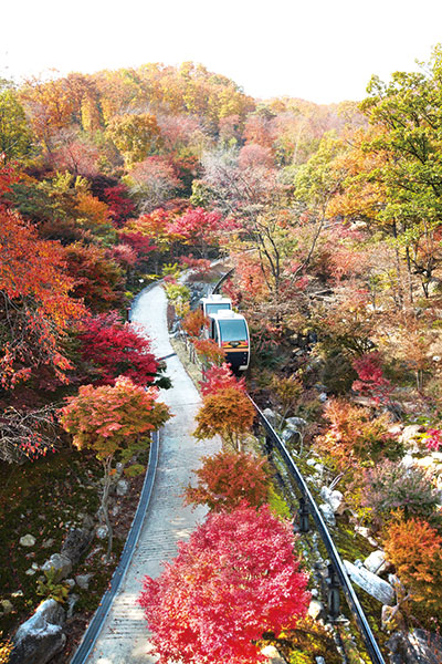 화담숲에서 만추홍엽을 즐길 수 있는 곤지암 리조트(사진 서브원)