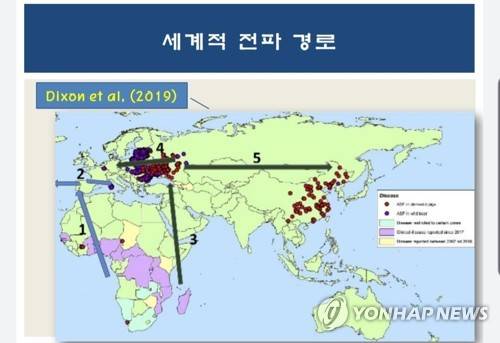 아프리카돼지열병 지난 100년간 대륙별 전파 방향 [농림축산검역본부 제공]
