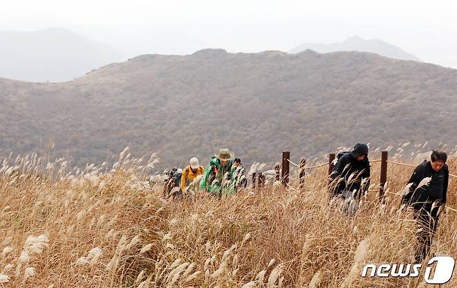 2일 광주 무등산 국립공원 정상 개방 행사가 열려 탐방객들이 무등산 정상을 향해 등반하고 있다. 2019.11.2/뉴스1 © News1 황희규 기자
