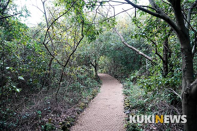 제주곶자왈도립공원의 산책로는 대부분 나무데크 또는 야자매트로 포장되어 있어 숲에서 길 잃을 염려는 하지 않아도 된다. 포장되지 않는 산책로는 가장자리에 돌을 두어 길을 벗어나지 않도록 하고 있다.