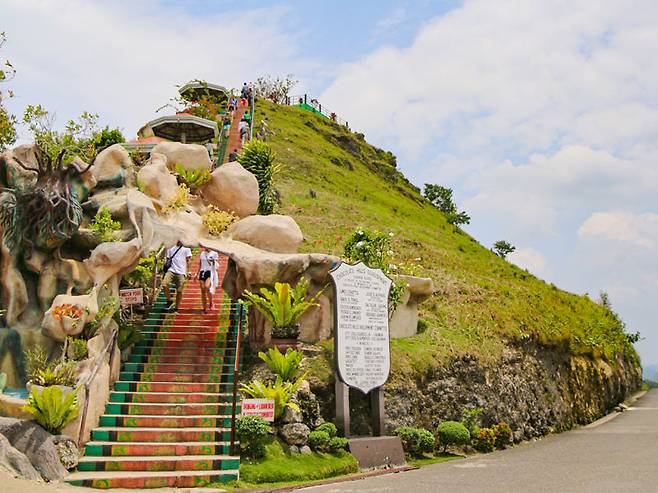 초콜릿 힐. 214개의 계단을 오르면 솟아오른 언덕들이 한눈에 보인다