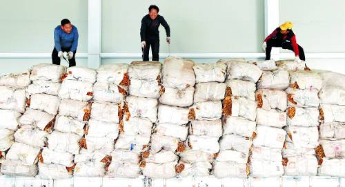 대형 화물차에 산처럼 쌓인 잎담배 위에서 농민들이 바쁘게 움직이며 잎담배를 옮기고 있다.