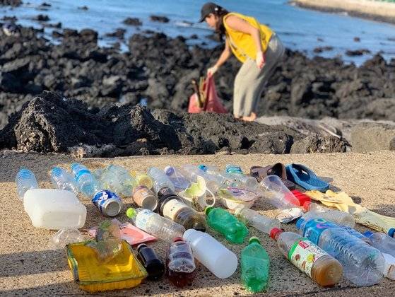 지난 7월 판포포구. 해안가에서 가장 많이 수거되는 종류중 하나인 플라스틱 쓰레기들. [사진 세이브제주바다]