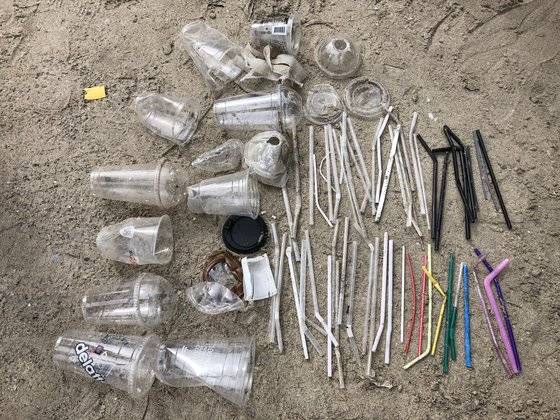 지난해 10월 월정해변에서 수거된 각종 플라스틱 컵과 빨대 쓰레기. [사진 세이브제주바다]