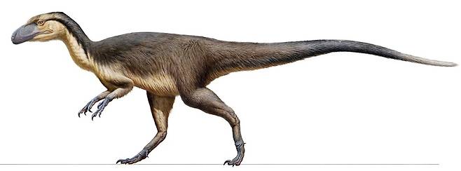 사진=Uppsala universitet