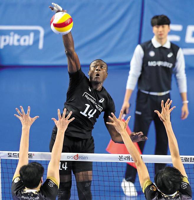 현대캐피탈의 다우디 오켈로(우간다)가 24일 OK저축은행과와의 남자프로배구 홈 경기(천안 유관순체육관)에서 상대 블로킹을 피해 강스파이크를 날리고 있다. 스파이크 높이가 360㎝에 달하는 다우디는 이날 데뷔전에서 22점을 올리며 팀의 3대0 승리를 이끌었다. /연합뉴스