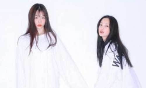 10월14일 숨진 가수 설리(사진 왼쪽)와 11월24일 사망 소식을 전한 구하라. 온라인 커뮤니티