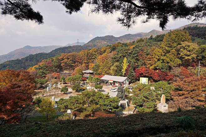 단풍이 곱게 물든 '울고 넘는 박달재'